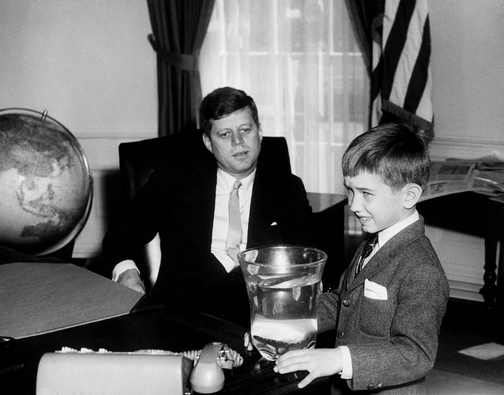 AR6420-C. President John F. Kennedy with Robert F. Kennedy, Jr. - John ...